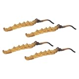 Abaodam 4stücke Cordyceps-pathologiemodell Für Traditionelle Medizinläden Cordyceps-reproduktionsmodell Als Dekoration Für Kräuterläden Cordyceps-lebenszyklusmodell Für Pädagogische Anzeig