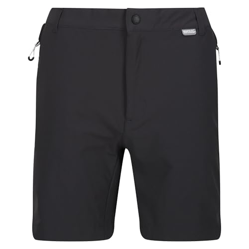 Image of Regatta Mens Mountain II Shorts Ash/Black