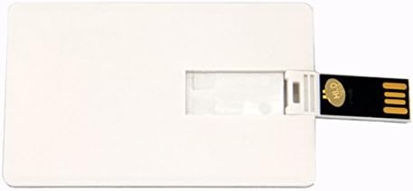 Wafer USB Bussiness Card Flash Drive Blank DIY Memory Stick Wholesale Bulk Pack 10 (1GB, White)