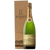 Llopart Brut Nature Estuche