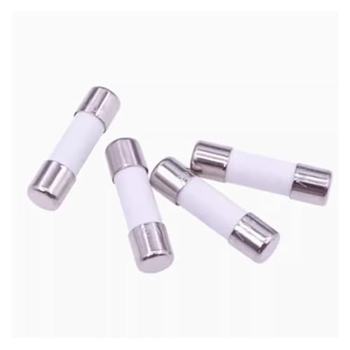 Fusibili A Cartuccia for Tubo In Ceramica, Fusibili Di Rete Domestici In Ceramica Confezione Da 20 5x20mm Ad Azione Rapida 25V 0,1A A 30A(1A)