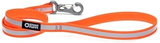Stunt Puppy Go Dog Glo Dry Leash, Orange, 3/4-Inch