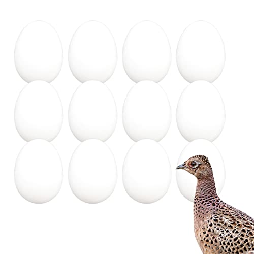 FINCA CASAREJO Oeuf faux Macizo Faisán (12) Cover