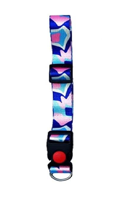 Dog Trust Cute Dog Print Collar with Bells Suitanle for Small Breeds Dogs Size 15MM (Green) (B09Y241MDG) Amazon Price History, Amazon Price Tracker