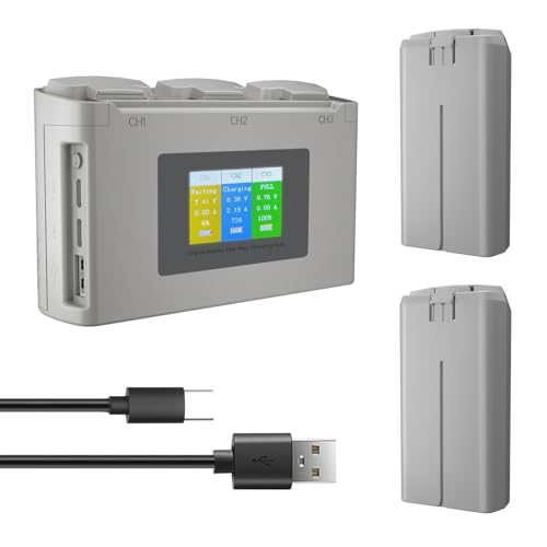 Treeboy Lot de 2 batteries intelligentes avec hub de charge à deux voies compatible avec DJI Mini 4K/Mini 2/Mini 2 SE/Mini SE, 2400 mAh 31 min Temps de vol