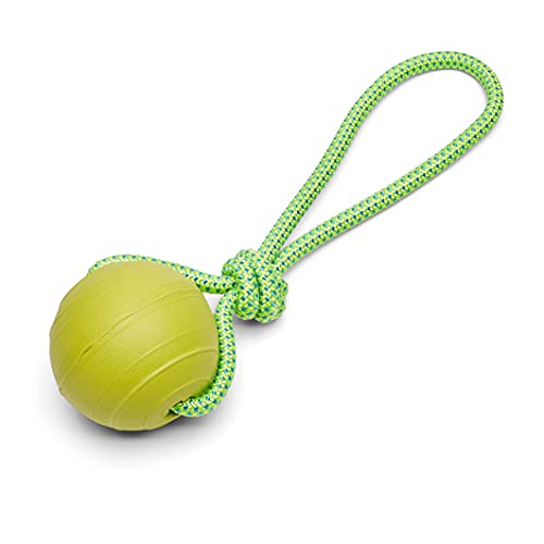 Amazon Basics Eva Floating Dog Balls, 3-Pack #TOP1