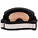 Trespass Fannar Ski Goggles One Size