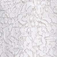 Image of Kensie Women's Sleeveless Fit & Flare Lace Mini Dress