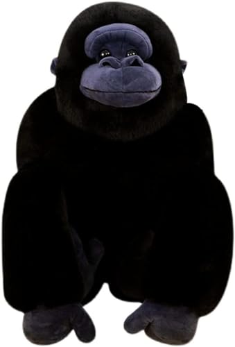 ܂ ʂ S  ʂ  ܂ 70cm 傫 ӂ̕ w  NbV    ubN S D NX}X Ԃ̏ a v[g