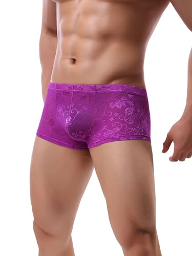 Summer Code Men's Lace Boxer Briefs Sheer Breathable Trunk Underwear Mesh Bulge Enhancing Pouch Underwear Soft Underpants