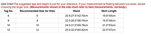 Freebily Kids Girls Pleated Ballet Character Dance Dress Elastic Waist Full Circle Ribbons Decorated Ballerina Rad Skirt Black&Pink 6 #TOP6