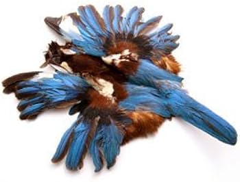 Amazon.co.jp: 装飾 ディスプレイ【カマタック】装飾用の羽根 カワセミ