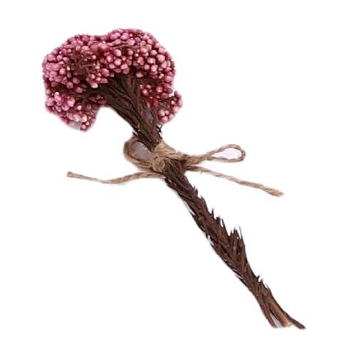 Ramo pequeño de flores secas, 12 piezas hechas a mano miniatura 6