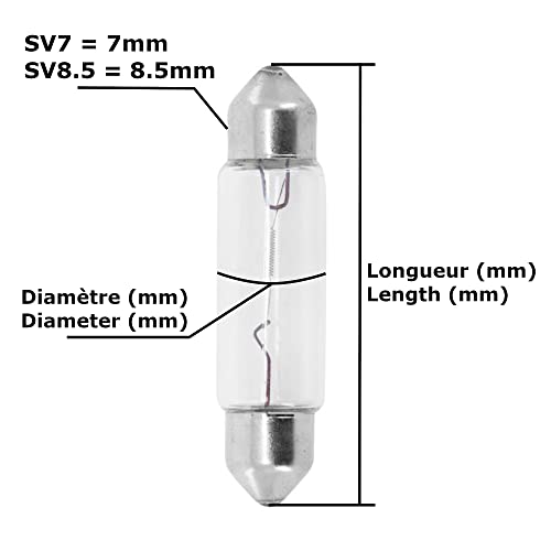 6V 3W SV7 8 x 31 MM SOFFITTE MOTORRAD MOPED AUTO LAMPE GLÜHBIRNE Kofferraumlampen Deckenbeleuchtung Armaturenbeleuchtung