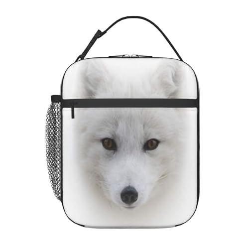 |[^ufM`obOBhƘRh~AX^CbVŏvBdAwZAAEghAɍœKBjɂɂKĂ܂B(Alopex Arctic Fox Portrait Lagopus Animal Face)