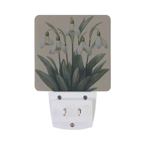Image of Snowdrops with Green Leaves Night Lights 2 Pack Plug-in Wall Led Nightlight Auto Dusk-to-Dawn Sensor Lamps for Bedroom Kitchen Bathroom
