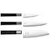 Kai 67-310 Serie de 3 couteaux 'wasabi black', Noir, 39,2 x 15,3 x 2,6 cm