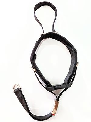 PetsProMax No-Pull Dog Headcollar (Medium) | Instant Stop Dog Pulling for Comfortable, Safe, and Effective Walking. Designed to Gently Guide Your Dog's Head, Naturally (Black, M)