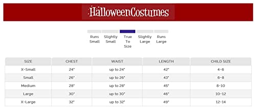 Medieval Princess Girls Costume Medium