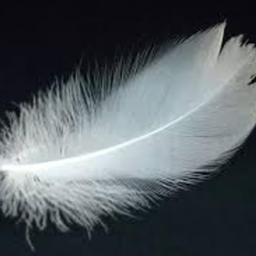 Shaman and Priest Ep 2: Alpha and Omega