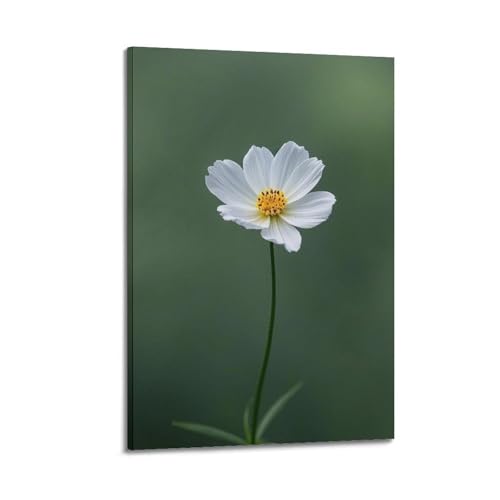 Décoration murale moderne pour habiller un mur vide avec plante blanche cosmos