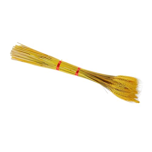 Bouquet de 100 espigas de trigo natural secas para decoración miniatura 1