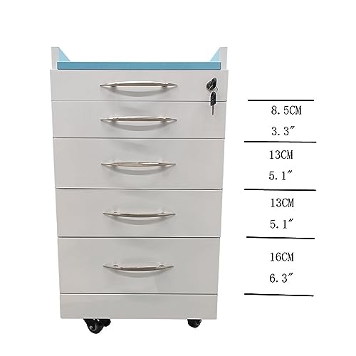 BREVELTION 4 Drawer Mobile Dental Storage Cabinet, Dental Assistant's Utility Cart Stainless Steel Office Mobile Medical Trolley Cart with Lock and Wheels for Office Hospital