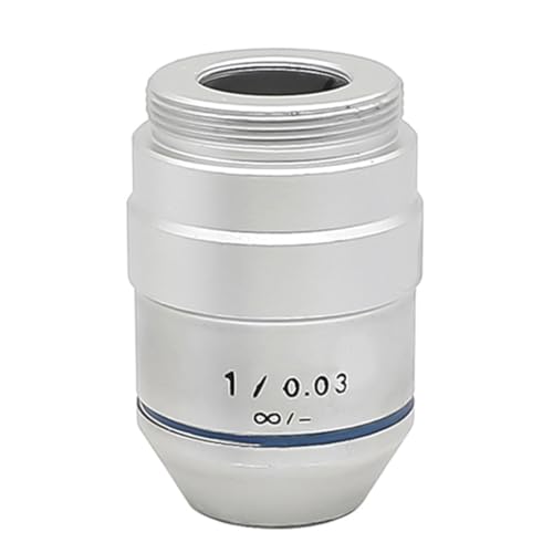 Lbg 1X 2X FY 195 ANZT[p RMS Xbht YA_v^[(1X-Infinity)