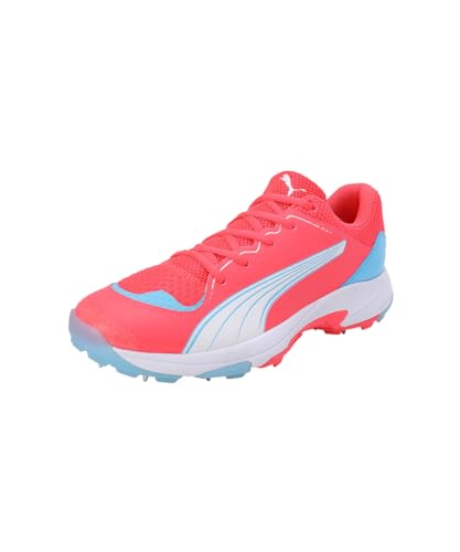Image of Puma Unisex-Adult Spike 24.1 Cricket Shoe