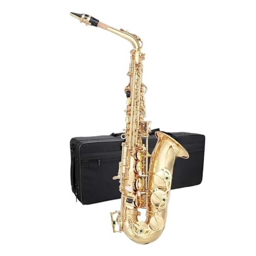 TbNXy AgTbNX S[hbJ[ S҃Lbg P[Xt [h \tgNX bhO[u ubN (S[h)