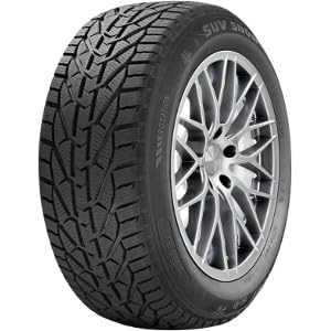 RIKEN Pneumatico Invernale 225/60 R17 99H