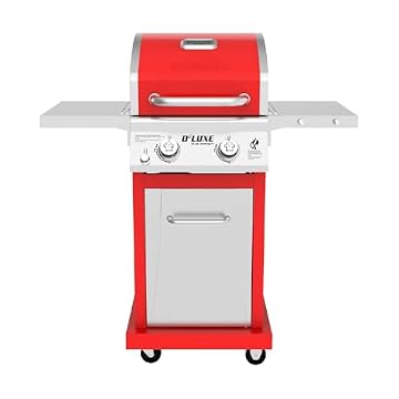2 burner gas grill