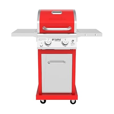 Nexgrill Deluxe 2-Burner Gas Grill with 401 SQ In Grate, 28000 BTUs, Stainless Steel Control Panel & Foldable Side Table, Propane BBQ Grill for Outdoor Cooking, Patios, Backyards and More - 720-0864R