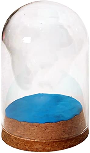 Jarra de sino para árvore de Natal com base e vidro transparente Cloche Bell Jar Dome com exibição d