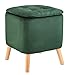 WENKO Sgabello vellutato con gambe di legno, sgabello con coperchio apribile, spazio portaoggetti aggiuntivo in soggiorno, in bagno e in camera da letto, 36,5 x 41 x 36 cm, in 100% poliestere, verde