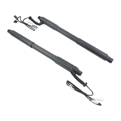 Ressorts de suspension de coffre électrique pour BMW X5 E70 résolvant les chutes de hayon