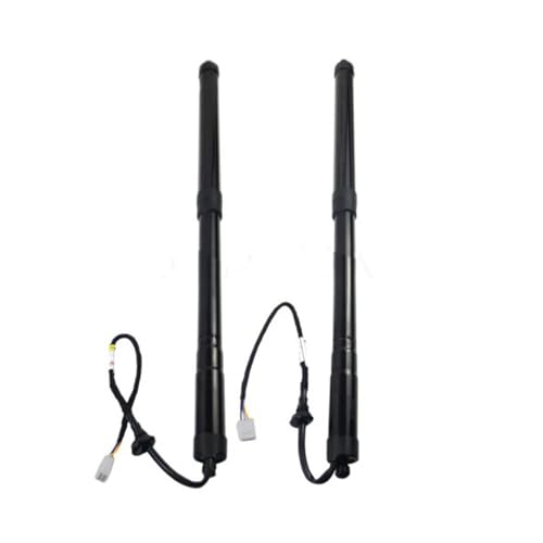 テールゲートリフトサポートロッド 6892048031 6892048030 6891048070 6891048071 に適合する レクサス RX350 RX450h 2016-2019 リア左右電動テールゲートリフトストラット