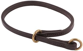 flat leather dog collar