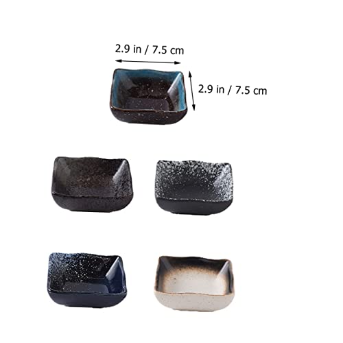 Set de platos de cerámica estilo japonés para sushi miniatura 7