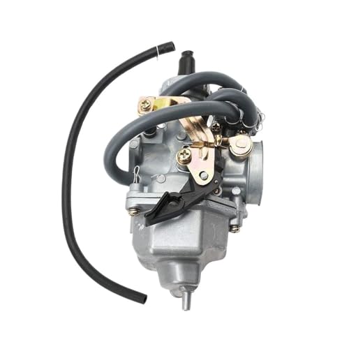 Carburateur de rechange TRX250TE pour les randonnées en forêt - 4