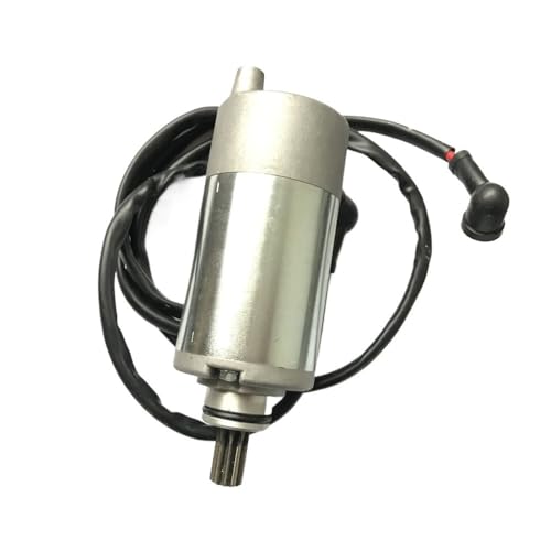 Démarreur électrique JS250 pour moteur moto et quad 250cc Puma Wild Cat