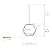 NCYP Mini Glass Floating Frame for Dried Flowers Plants, Photo - Side length 1.9 Inches - Wall Hanging Vertical Decor, Small Double Specimen Clip, Gold Hexagon (Glass Frame Only)
