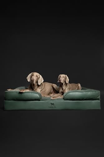 Image of NOAH & PAW Giant Dog Bed XXL, 55x45x11 Inch, Orthopedic Dog Beds, Eggshell Memory Foam Infused with Cooling Gel, Inner Cover, Water Resistant, Machine Washable (Faux Leather)