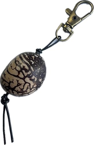 Porte-clés en graine de tagua monté sur fermoir en laiton vieilli