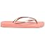 Multicolour Pink Rose 8973 0