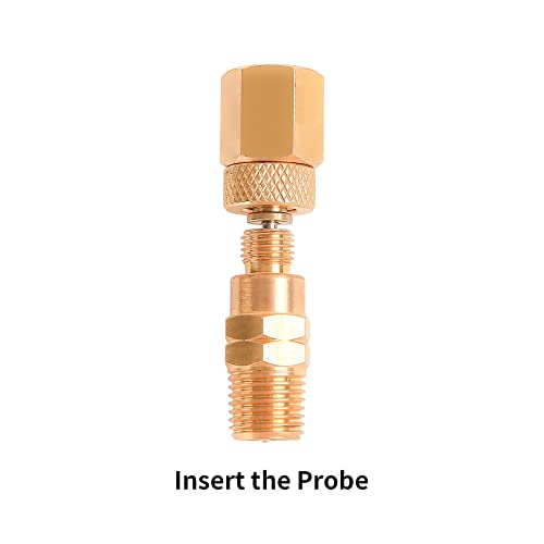Image of Brass Test Plug with Brass Gauge Adaptor, 1 /4 inchNPT Male