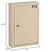 Global Industrial Key Cabinet, 30 Keys, 8x2-1/2x12-1/8, Sand