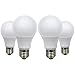 Lampadine LED E27 12 V 5 W (A60 50 W alogene) a bassa tensione Edison Screw nelle lampadine bianco caldo 2700 K, confezione da 4