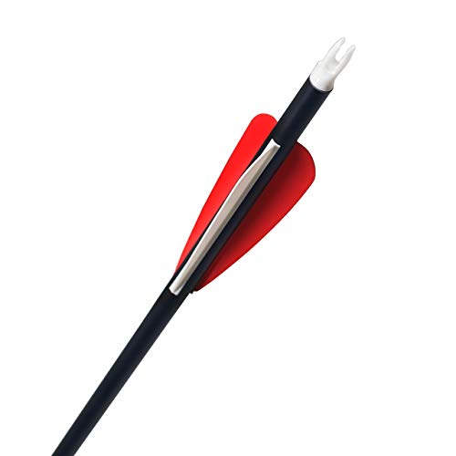 image for SinoArt Compound Bow 30-55lbs 24