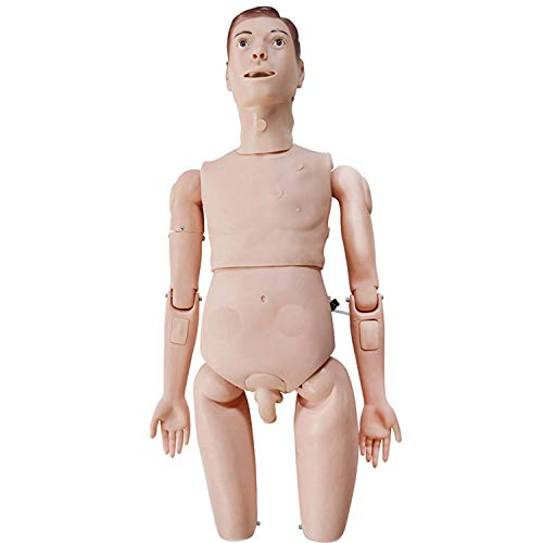 Intbuying Life Size Male Education Mannequin Model Patient Care Teaching Human Manikin Man For Education Study, Manikin For Nurse Training, Male Medical Mannequin Full Body #TOP1